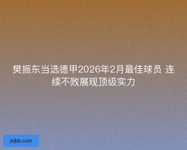 樊振东当选德甲2026年2月最佳球员 连续不败展现顶级实力