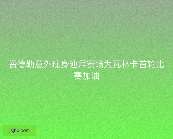 费德勒意外现身迪拜赛场为瓦林卡首轮比赛加油 费德勒意外现身迪拜赛场为瓦林卡首轮比赛加油