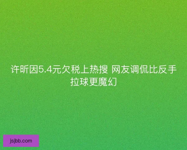 许昕因5.4元欠税上热搜 网友调侃比反手拉球更魔幻
